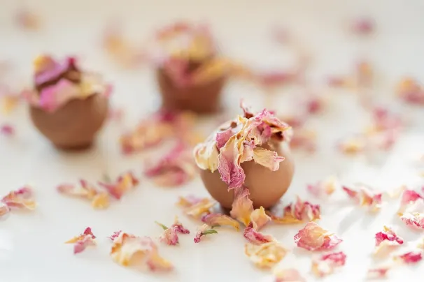 Kazino Sun Palace Android/iOS Lietotne